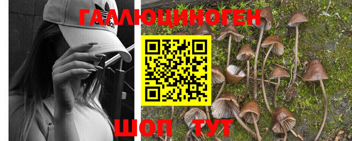 Железноводск  Галлюциногенные грибы Magic Shrooms  хочу наркоту  Вход с VPN 