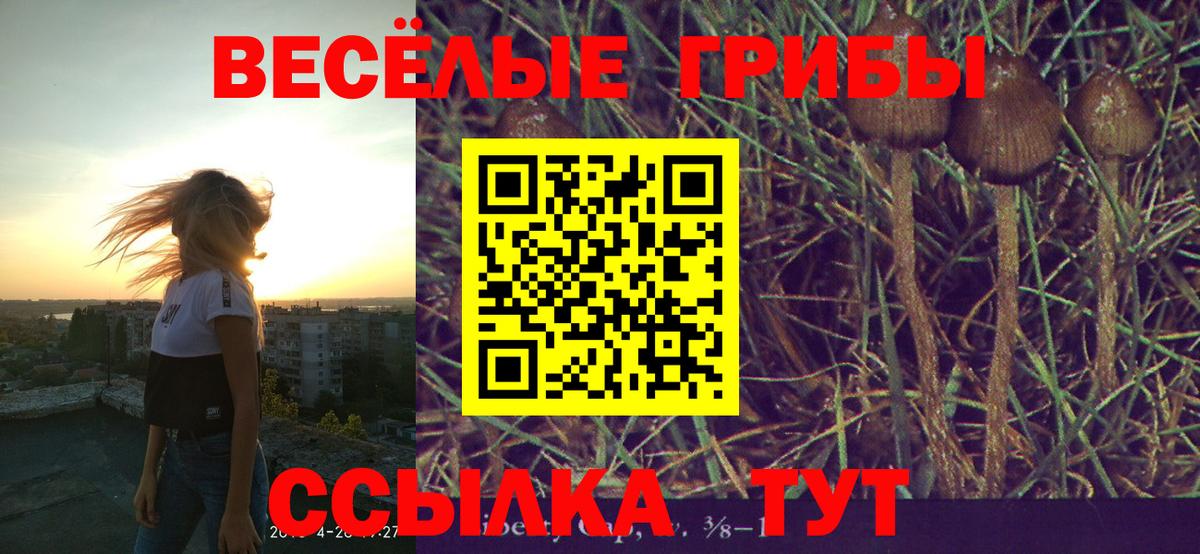 Галлюциногенные грибы Psilocybe Железноводск